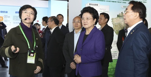 刘延东：认真学习贯彻党的十九大精神  承担好科技在中国特色社会主义新时代的历史使命